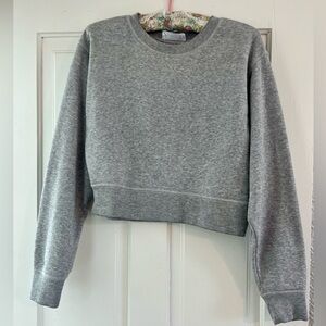 Gray Soft Fleece Cropped Sweatshirt